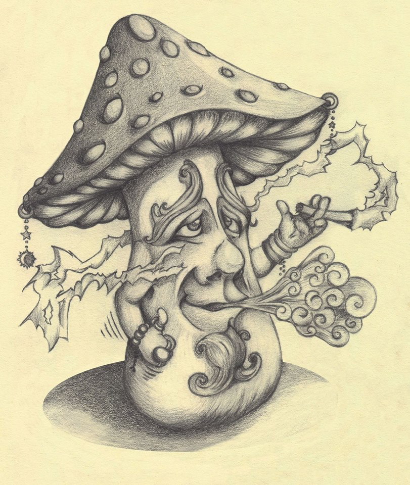 Cool Mushroom Drawing Modern Sketch