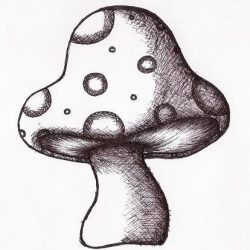 Cool Mushroom Drawing Photo