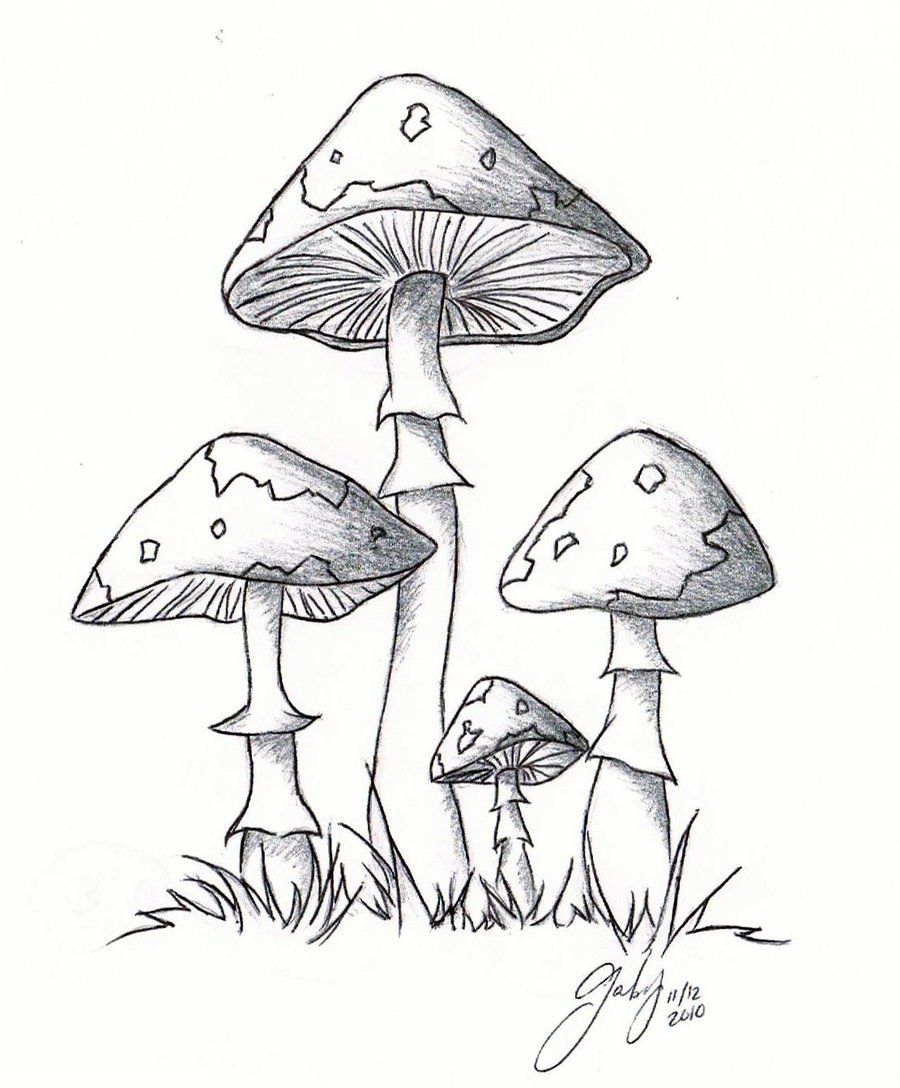 Cool Mushroom Drawing Unique Art