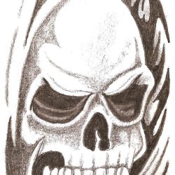 Cool Skull Drawing Artistic Sketching