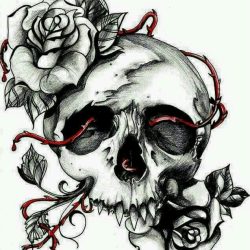 Cool Skull Drawing Creative Style