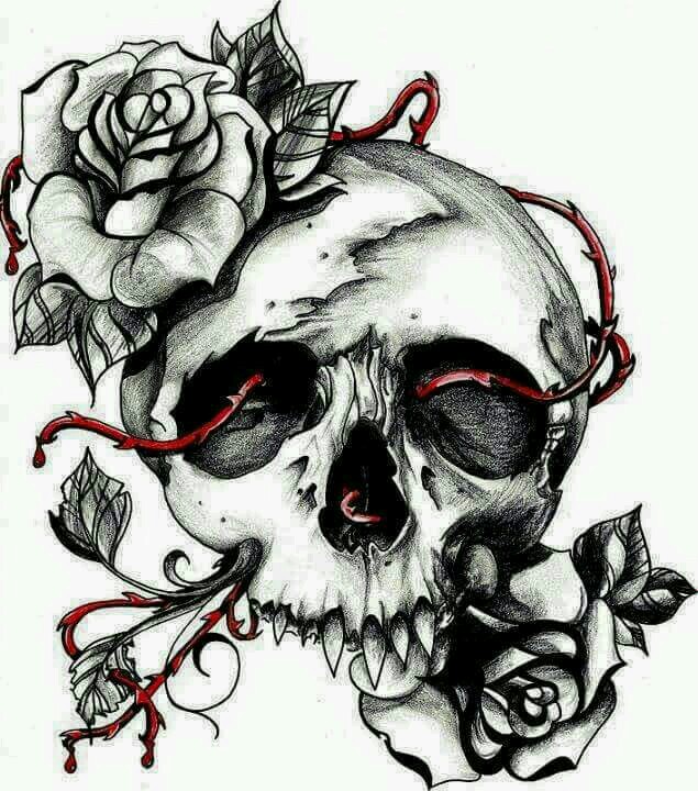 Cool Skull Drawing Creative Style