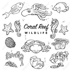 Coral Reef Drawing