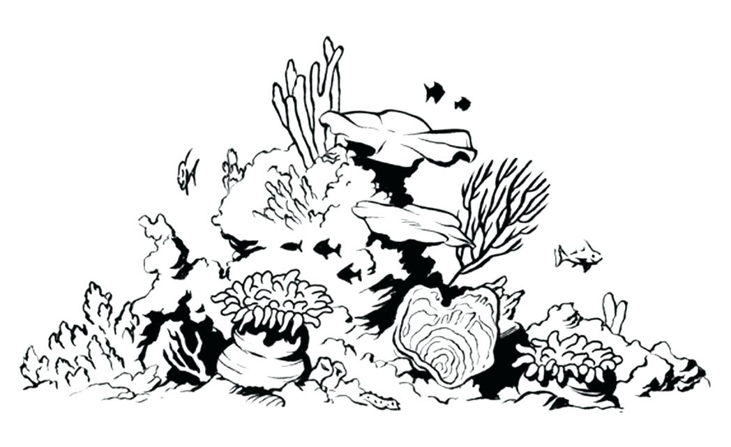 Coral Reef Drawing Artistic Sketching