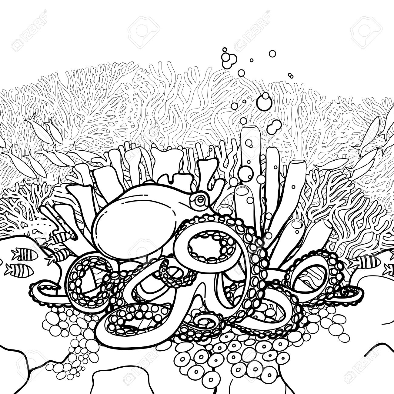 Coral Reef Drawing Picture