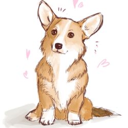 Corgi Drawing Intricate Artwork