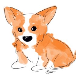 Corgi Drawing Picture