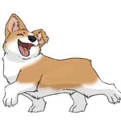 Corgi Drawing Realistic Sketch