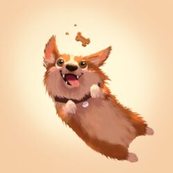 Corgi Drawing Sketch