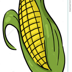 Corn Drawing Stunning Sketch