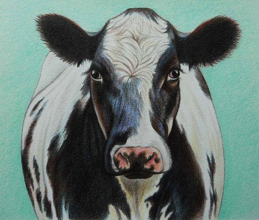 Cow Head Drawing Art