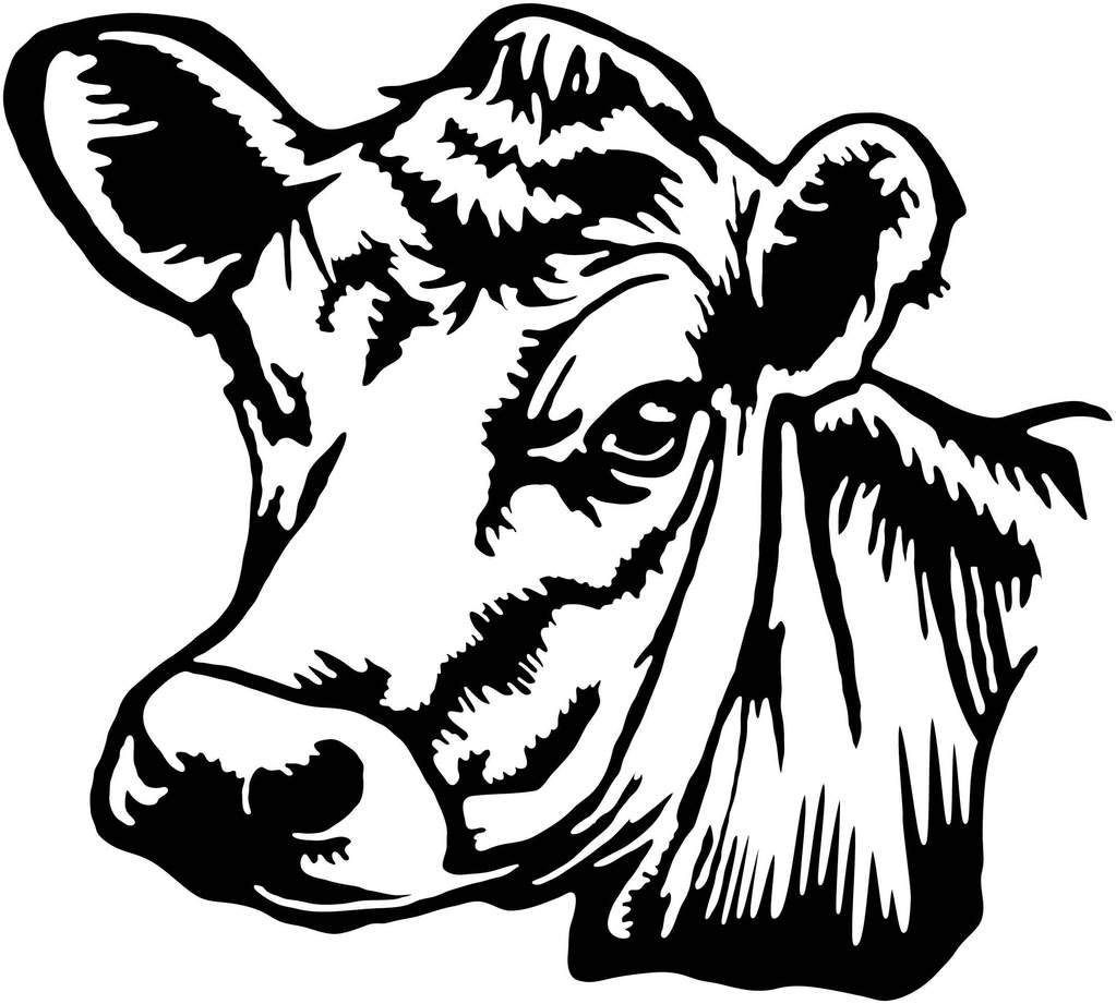 Cow Head Drawing Creative Style