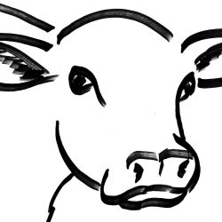 Cow Head Drawing Image