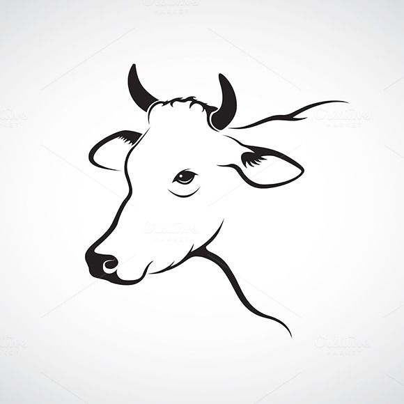 Cow Head Drawing Stunning Sketch