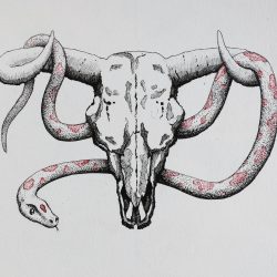 Cow Skull Drawing