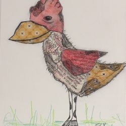 Cowbird Drawing Creative Style