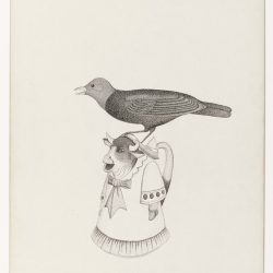 Cowbird Drawing Fine Art