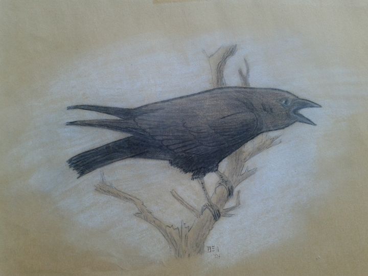 Cowbird Drawing Image