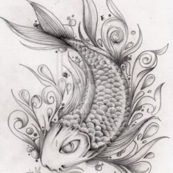 Coy Fish Drawing Art