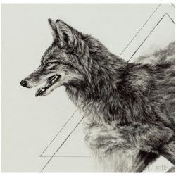 Coyote Drawing Hand drawn Sketch