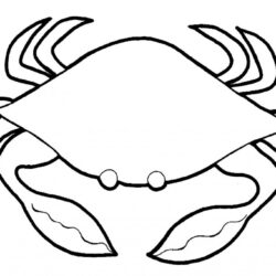 Crab Drawing Fine Art