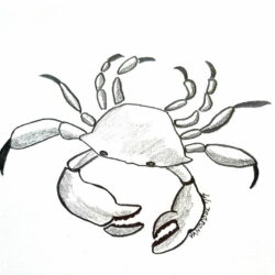 Crab Drawing Intricate Artwork