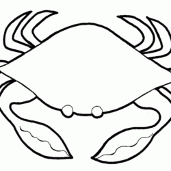 Crab Drawing Realistic Sketch