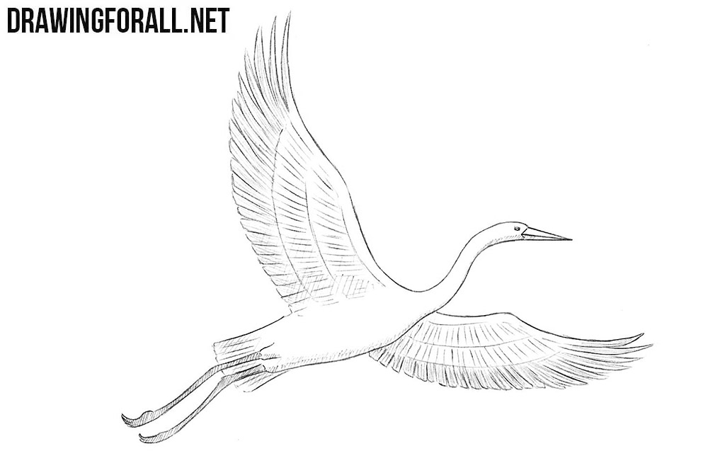 Crane Bird Drawing Art