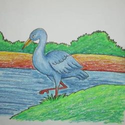 Crane Bird Drawing Realistic Sketch