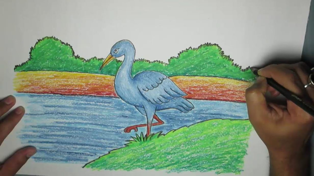 Crane Bird Drawing Realistic Sketch