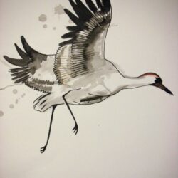 Crane Drawing Intricate Artwork