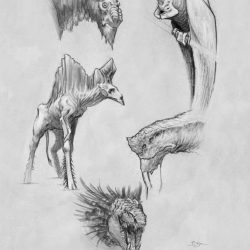 Creatures Drawing Modern Sketch