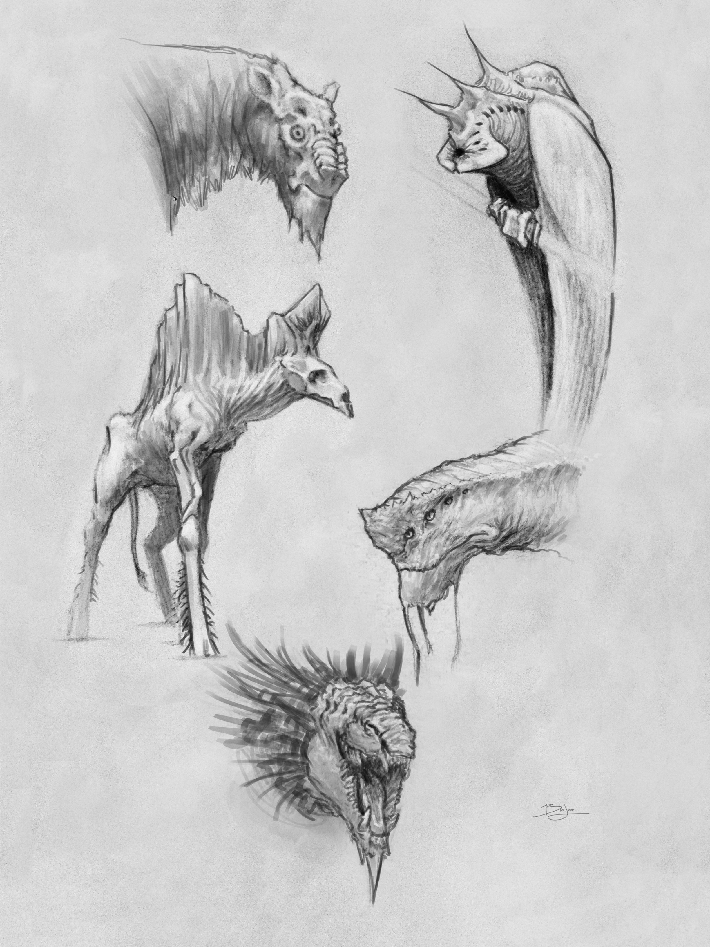 Creatures Drawing Modern Sketch
