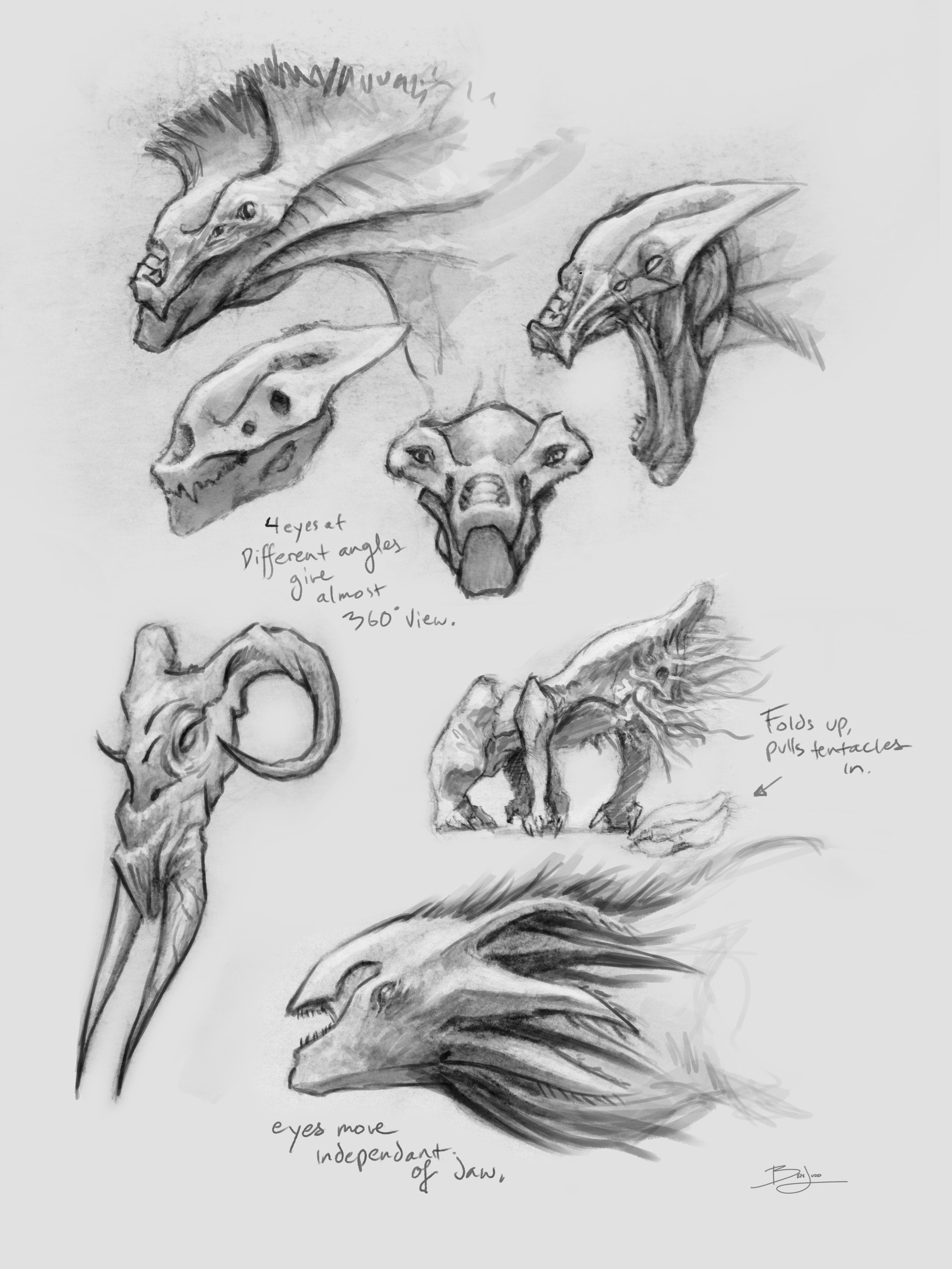 Creatures Drawing Realistic Sketch