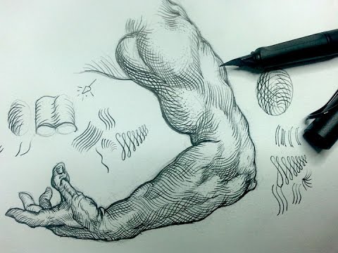Cross Arm Drawing Hand drawn Sketch