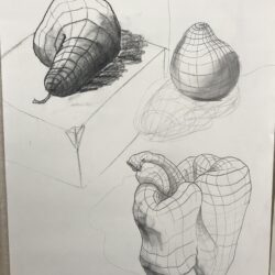 Cross Contour Drawing Realistic Sketch