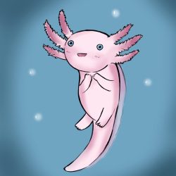 Cute Axolotl Drawing Creative Style