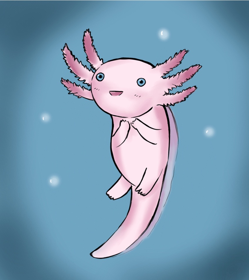 Cute Axolotl Drawing Creative Style
