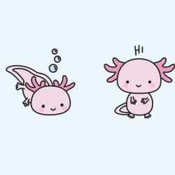 Cute Axolotl Drawing Fine Art