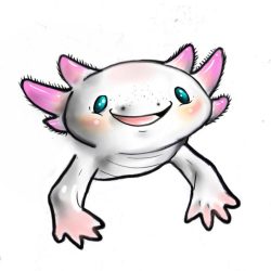 Cute Axolotl Drawing Hand drawn