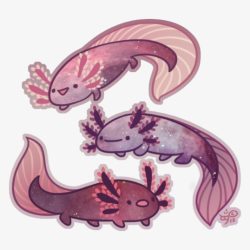 Cute Axolotl Drawing Realistic Sketch