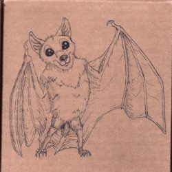 Cute Bat Drawing Art