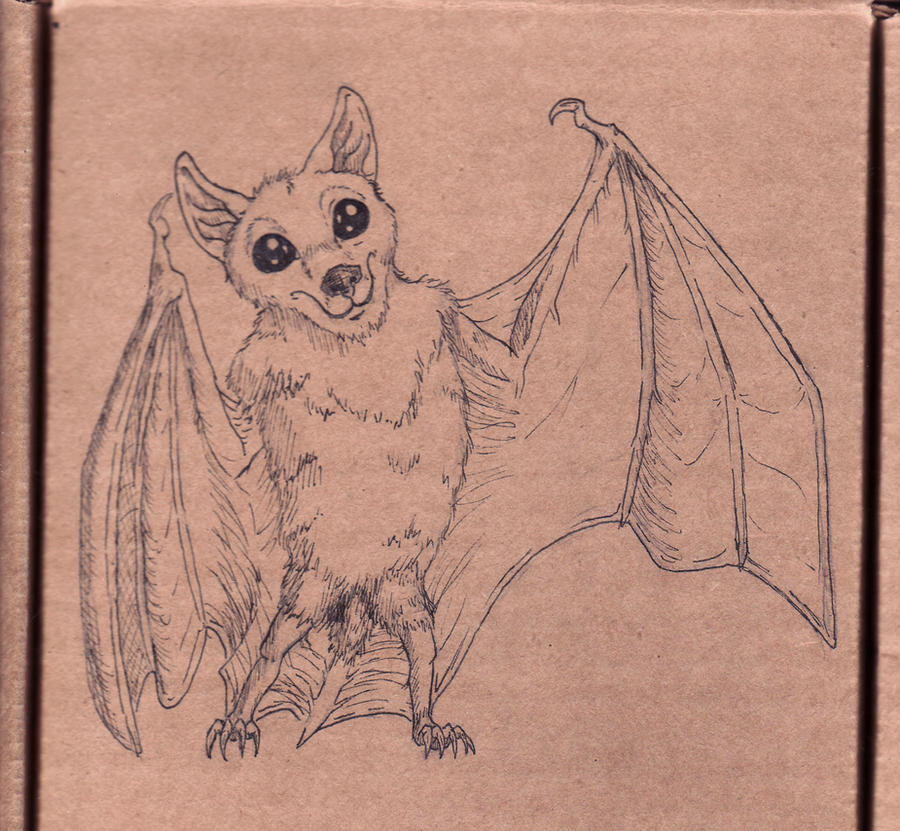 Cute Bat Drawing Art