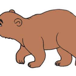 Cute Bear Drawing Image