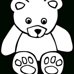 Cute Bear Drawing Photo