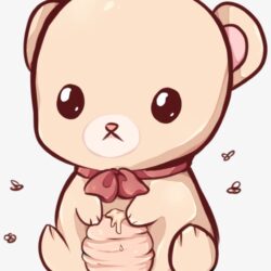 Cute Bear Drawing Professional Artwork