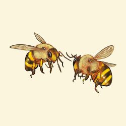 Cute Bee Drawing Fine Art