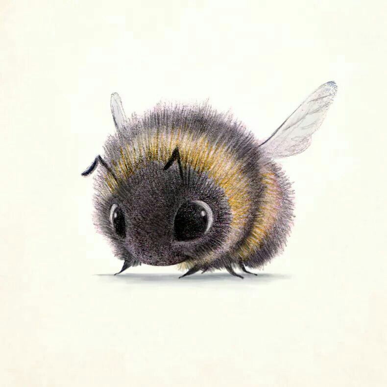 Cute Bee Drawing Sketch