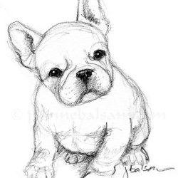 Cute Bulldog Drawing Intricate Artwork