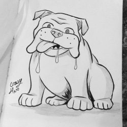 Cute Bulldog Drawing Stunning Sketch